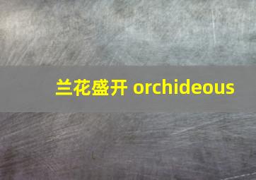 兰花盛开 orchideous